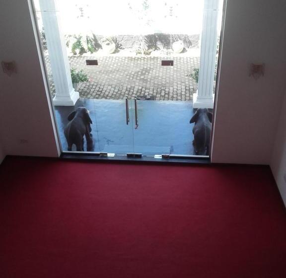 غرفة قياسية, The Kingston