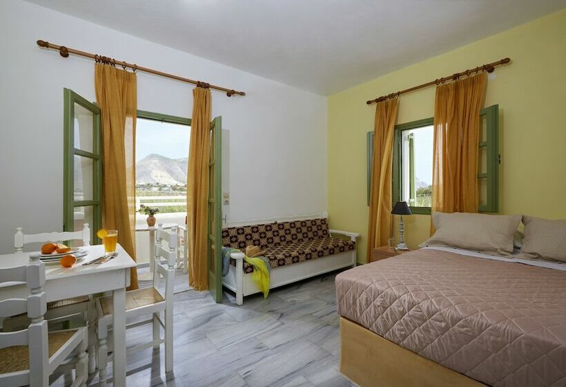 Estudi Estàndard Vista Jardí, Ambeli Apartments