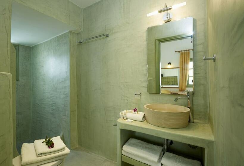 Estudi Estàndard Vista Jardí, Ambeli Apartments