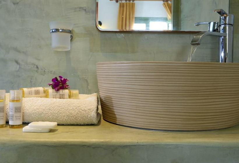 Estudi Estàndard Vista Jardí, Ambeli Apartments