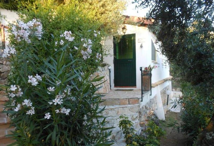 بنجلو عائلى, La Maison Galu