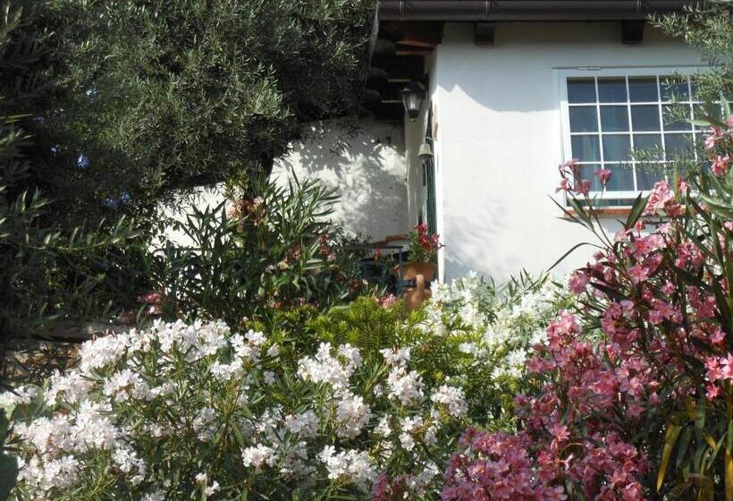 بنجلو عائلى, La Maison Galu