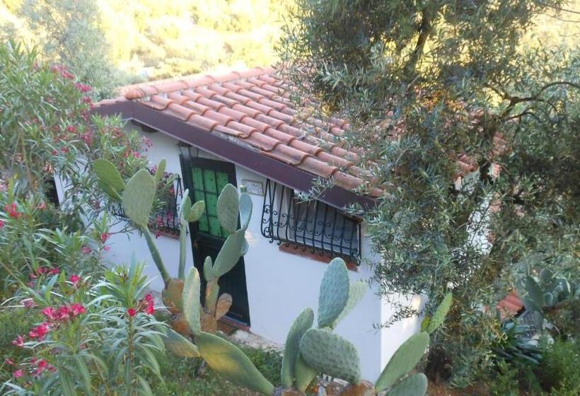 بنگله خانوادگی, La Maison Galu