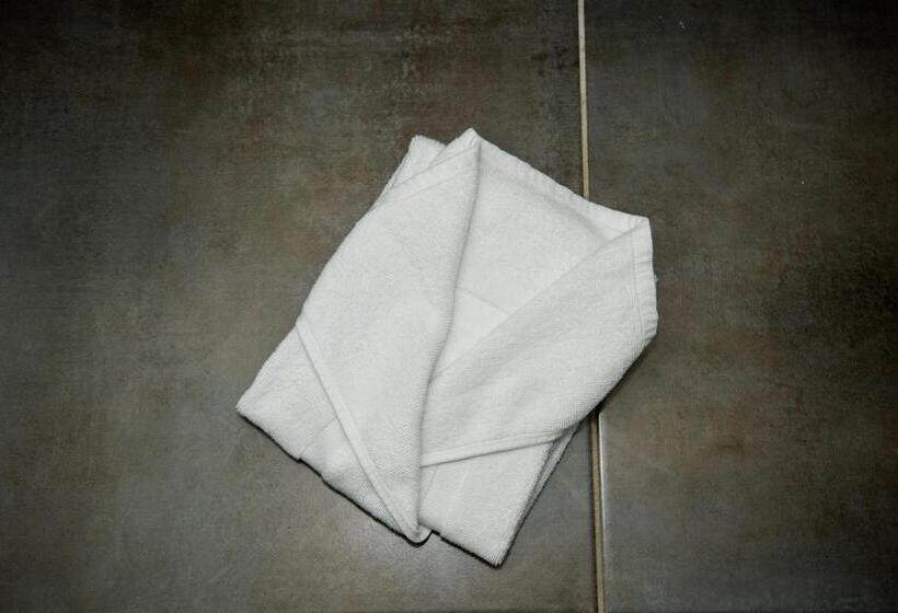 Одноместный Номер Basic, Hôtel Le Stanislas