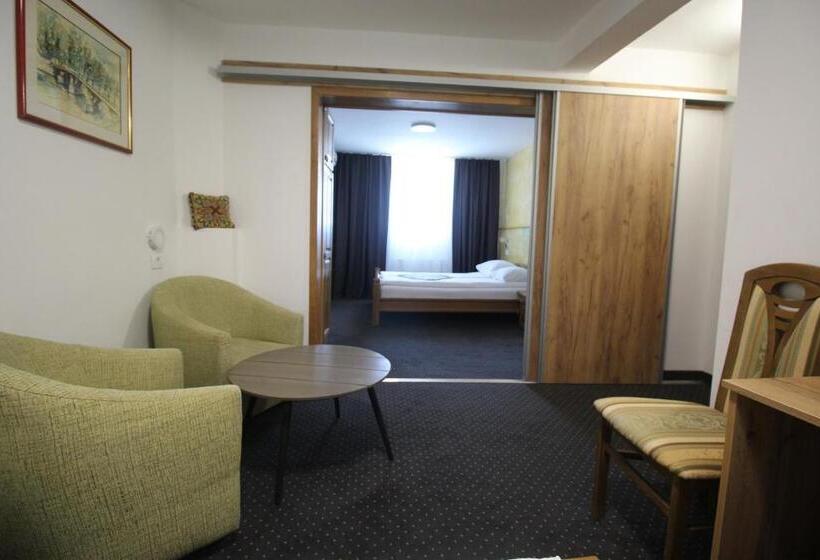 اتاق لوکس خانوادگی, Pansion Stari Grad