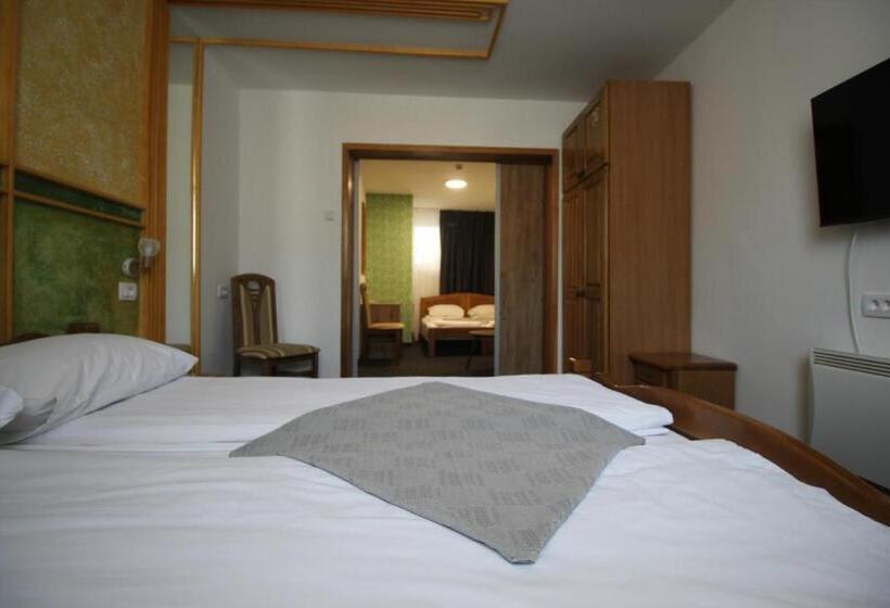 اتاق لوکس خانوادگی, Pansion Stari Grad