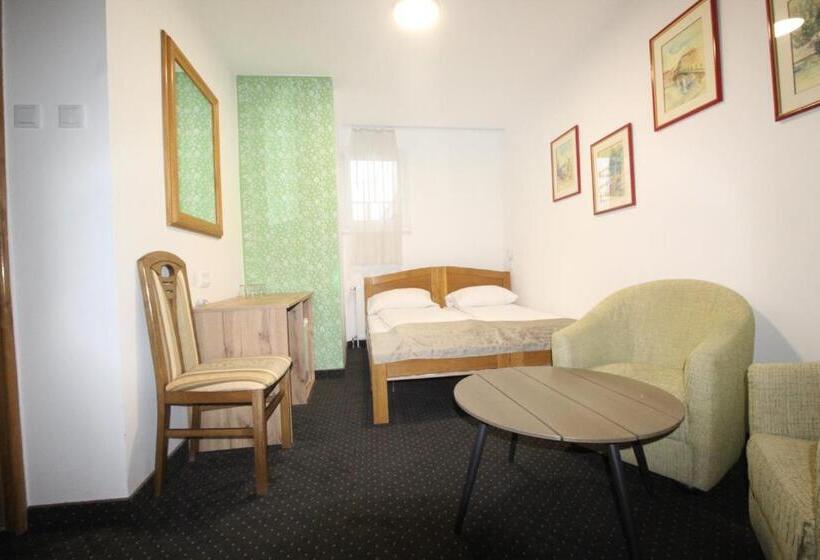 اتاق لوکس خانوادگی, Pansion Stari Grad