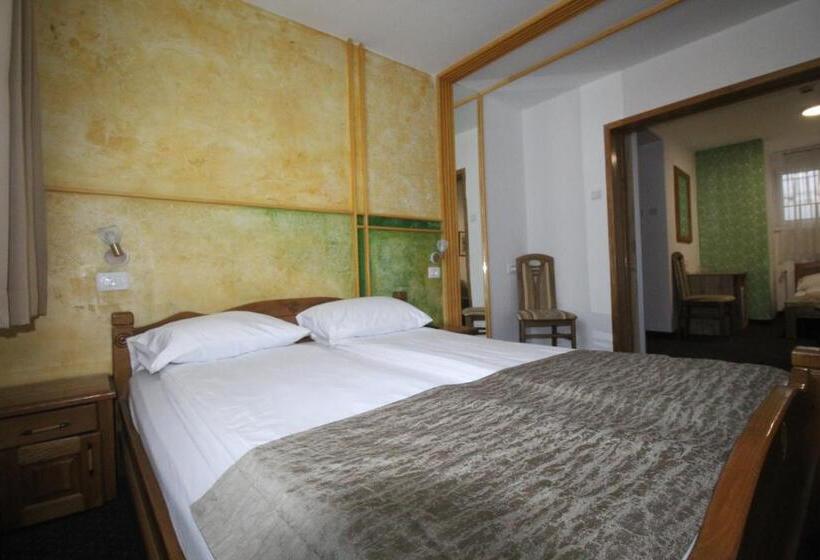 اتاق لوکس خانوادگی, Pansion Stari Grad