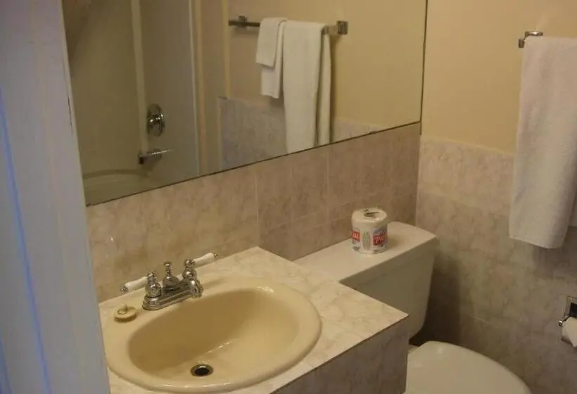 Cameră Economică Single, Trailside Inn