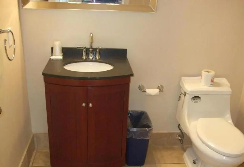 Cameră Single Deluxe, Trailside Inn