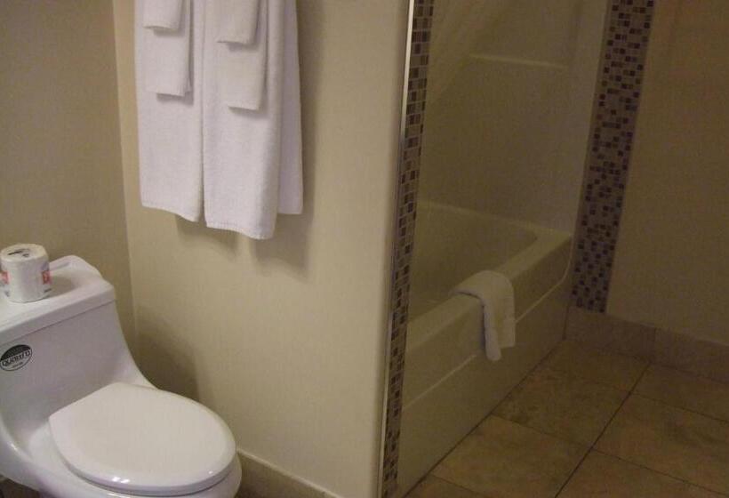 Номер Deluxe Одноместный, Trailside Inn