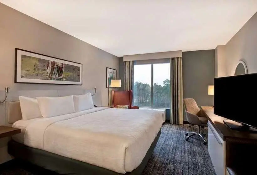 キングサイズベッドのスタンダードルーム, Hilton Garden Inn Hanover Lebanon
