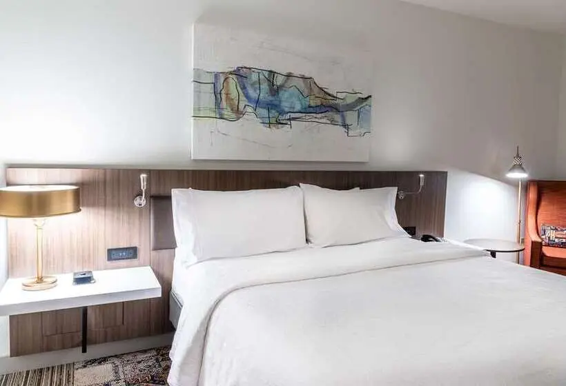 キングサイズベッドのスタンダードルーム, Hilton Garden Inn Hanover Lebanon