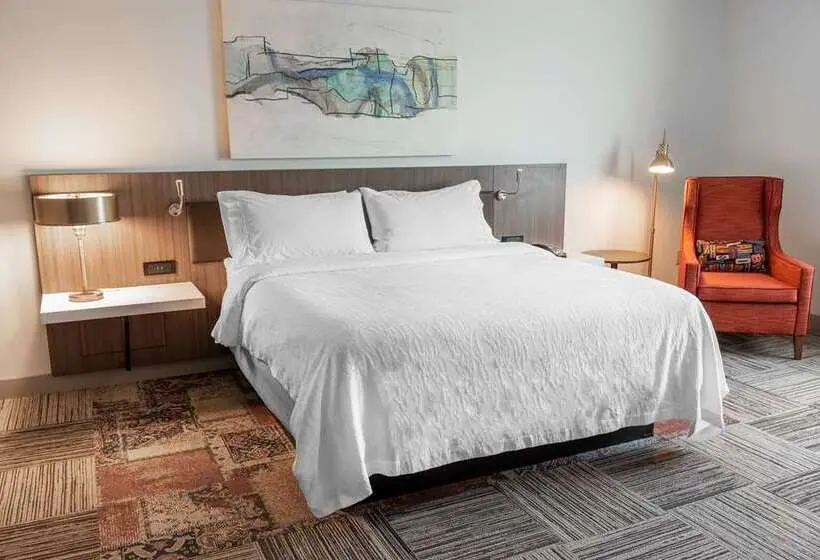キングサイズベッドのスタンダードルーム, Hilton Garden Inn Hanover Lebanon