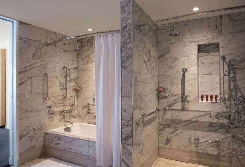 Номер Deluxe, Hilton Garden Inn Hanover Lebanon