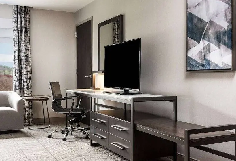 障害者適応デラックスルーム, Hilton Garden Inn Hanover Lebanon