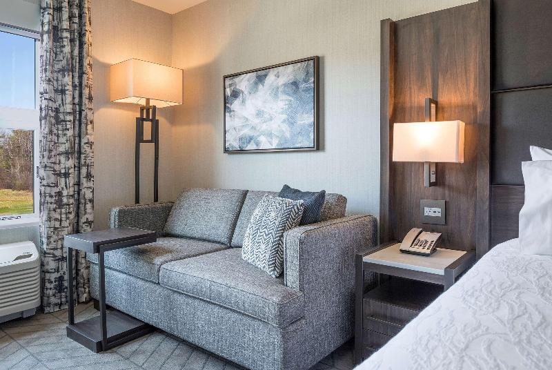 اتاق استاندارد با تخت بزرگ, Hilton Garden Inn Hanover Lebanon