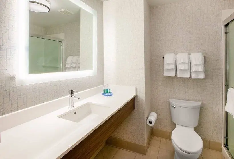 スタンダードルーム, Holiday Inn Express & Suites Atlanta N   Woodstock, An Ihg