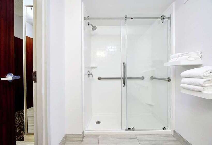 带大床的标准间, Tru By Hilton Farmville