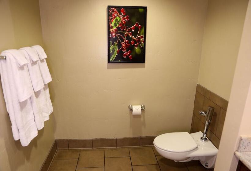 デラックスルーム, The Hotel At Black Oak Casino Resort