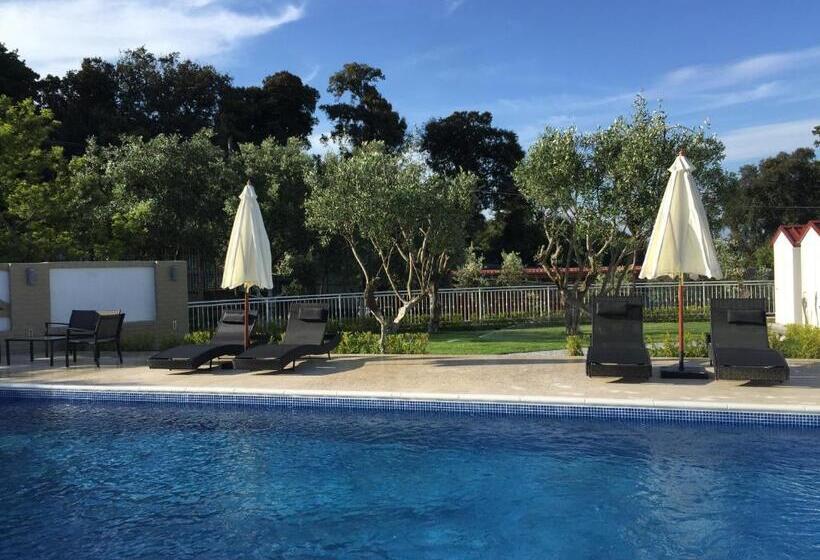 스탠다드 룸, Zia Bi Bed And Breakfast