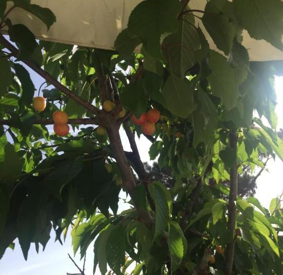 디럭스 룸, Zia Bi Bed And Breakfast