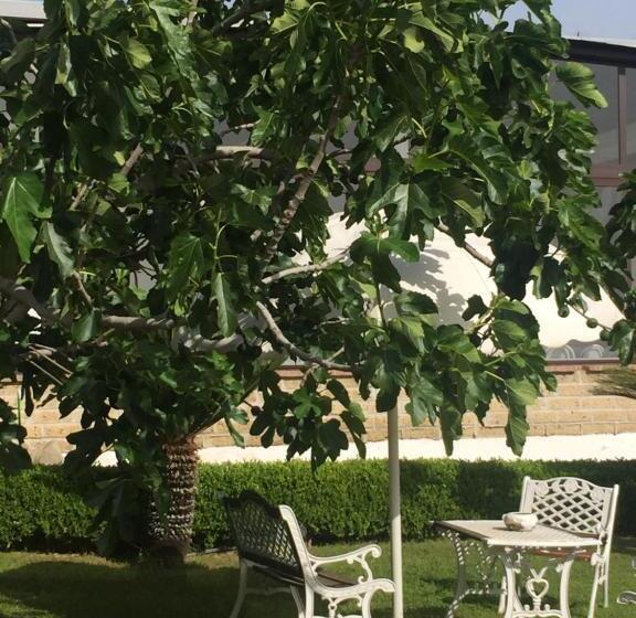 스탠다드 스튜디오 정원 전망, Zia Bi Bed And Breakfast