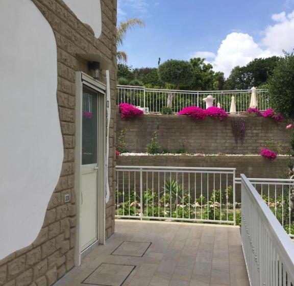 스탠다드 스튜디오 정원 전망, Zia Bi Bed And Breakfast