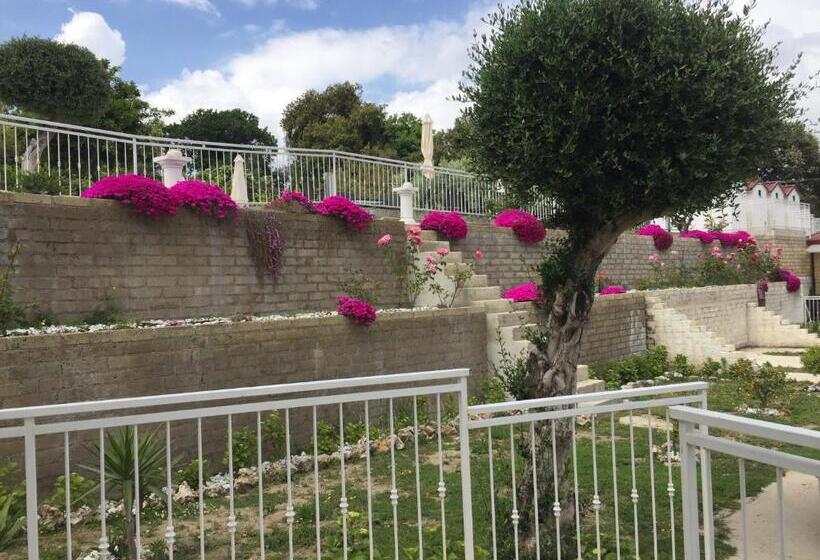 스탠다드 스튜디오 정원 전망, Zia Bi Bed And Breakfast