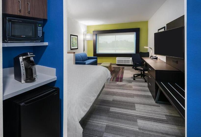 Стандартный Номер Кровать Кинг, Holiday Inn Express & Suites Bryan   College Station, An Ihg