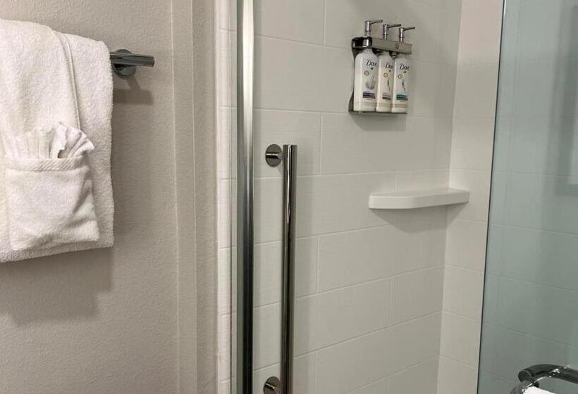 带大床的套房, Holiday Inn Express & Suites Bryan   College Station, An Ihg