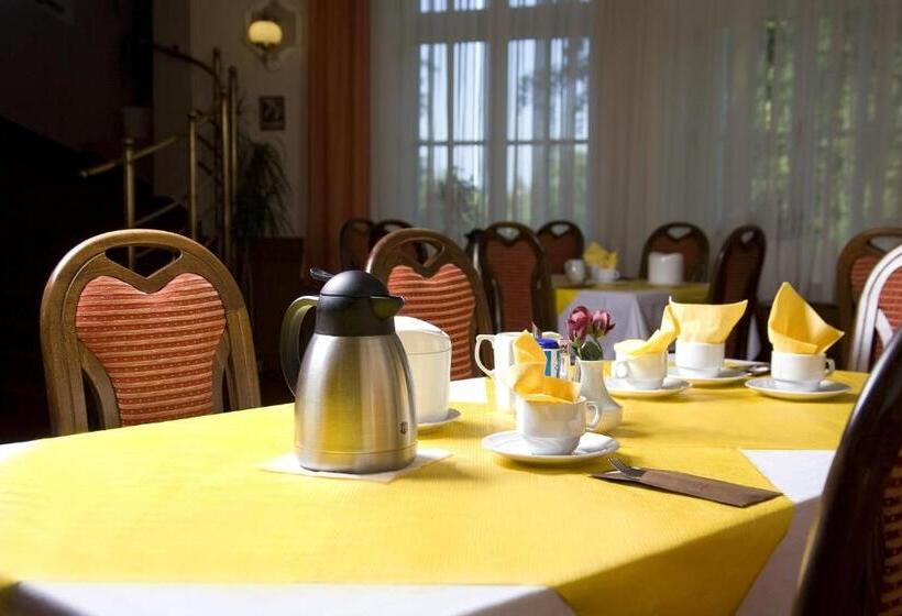 غرفة قياسية فردية, Saint Antonius