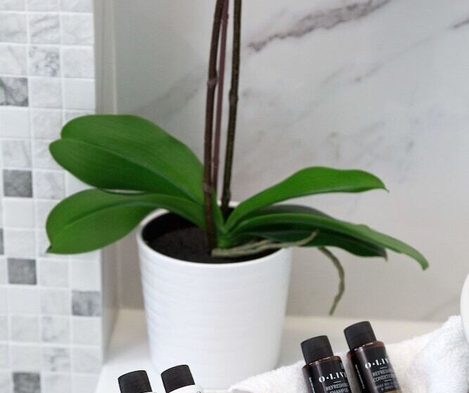 주니어 스위트, White Pearls Luxury Suites   Adults Only