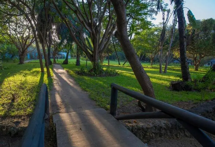 اتاق استاندارد, Amani Beach Resort