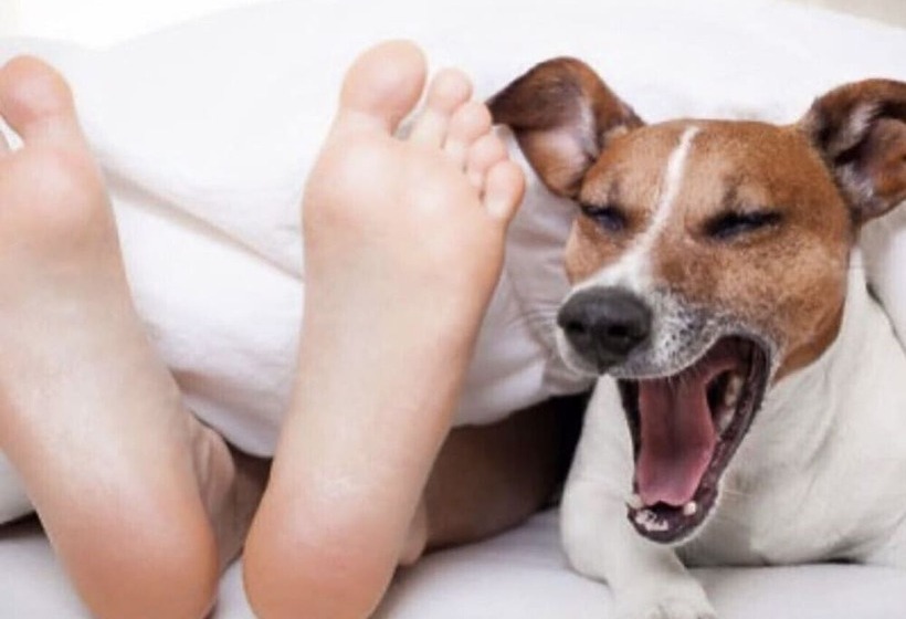 スタンダードトリプルルーム, Järnvägshotellet B&b Skara