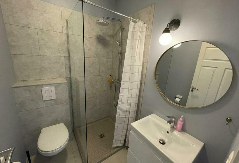 اتاق استاندارد, Lækur