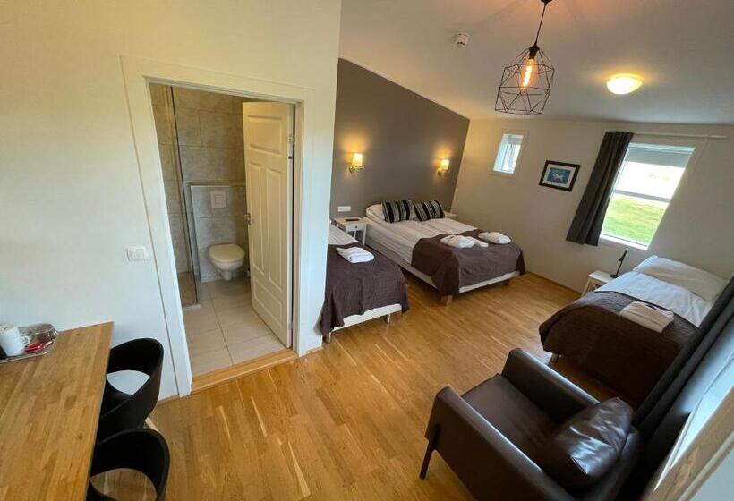 اتاق استاندارد چهار تخته, Lækur