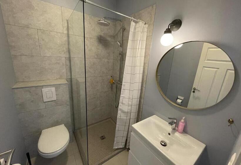 اتاق استاندارد سه نفره, Lækur