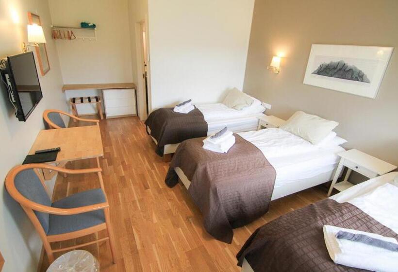 اتاق استاندارد سه نفره, Lækur