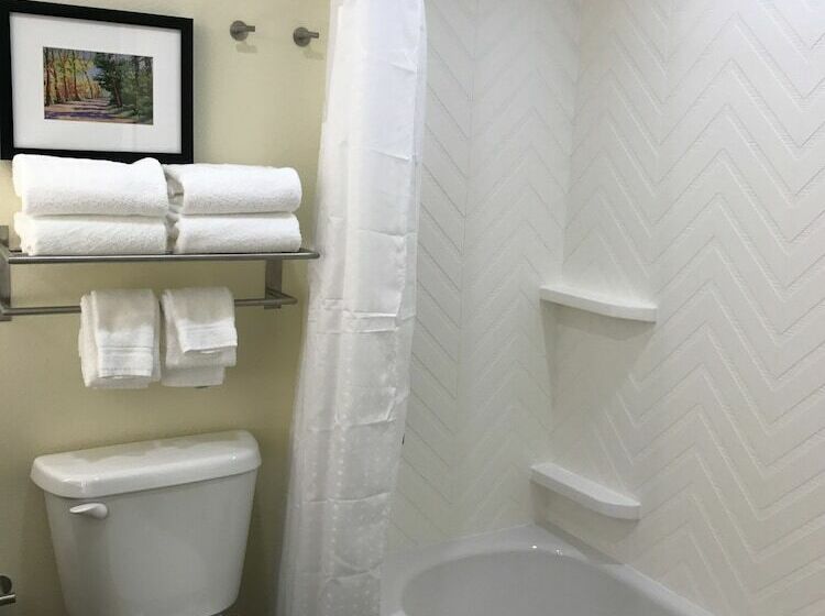 غرفة قياسية, Holiday Inn & Suites Arden   Asheville Airport, An Ihg