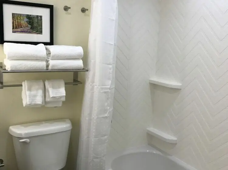 スタンダードルーム, Holiday Inn & Suites Arden   Asheville Airport, An Ihg