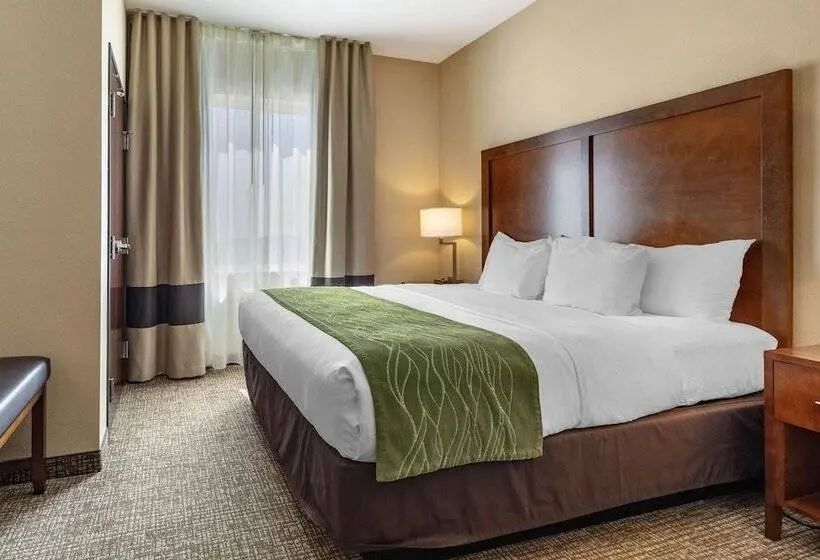 スイート, Comfort Inn & Suites