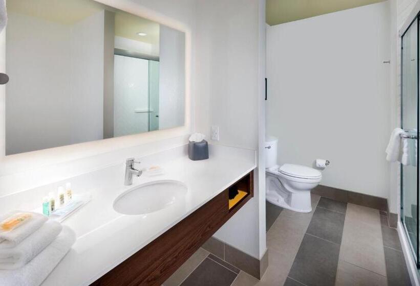 جناح سرير كينج, Holiday Inn & Suites Arden   Asheville Airport, An Ihg