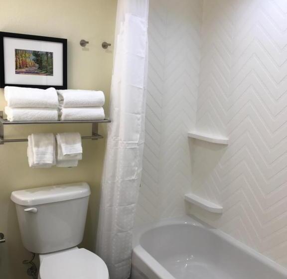 Номер Стандарт Кровать Кинг Адаптированный для Инвалидов, Holiday Inn & Suites Arden   Asheville Airport, An Ihg