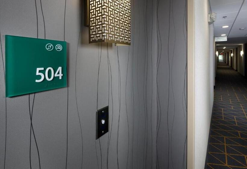 Номер Стандарт Адаптированный для Инвалидов, Holiday Inn & Suites Arden   Asheville Airport, An Ihg
