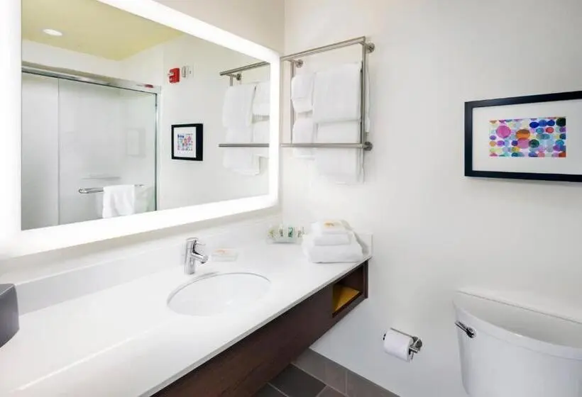 身障者適用スイートルーム, Holiday Inn & Suites Arden   Asheville Airport, An Ihg