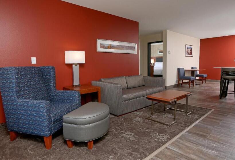جناح ديلوكس, Holiday Inn & Suites Sioux Falls   Airport, An Ihg