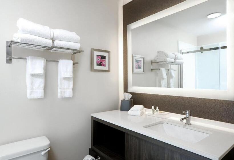Номер Стандарт Кровать Кинг Адаптированный для Инвалидов, Holiday Inn & Suites Sioux Falls   Airport, An Ihg