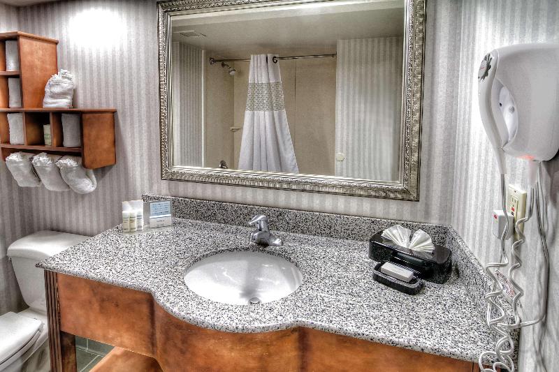 Люкс Кровать Кинг, Holiday Inn & Suites Sioux Falls   Airport, An Ihg