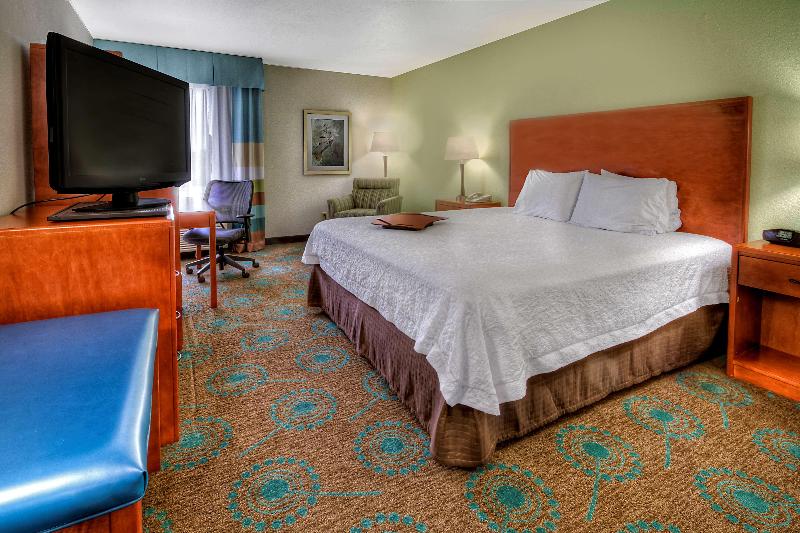 キングサイズベッドのスイートルーム, Holiday Inn & Suites Sioux Falls   Airport, An Ihg